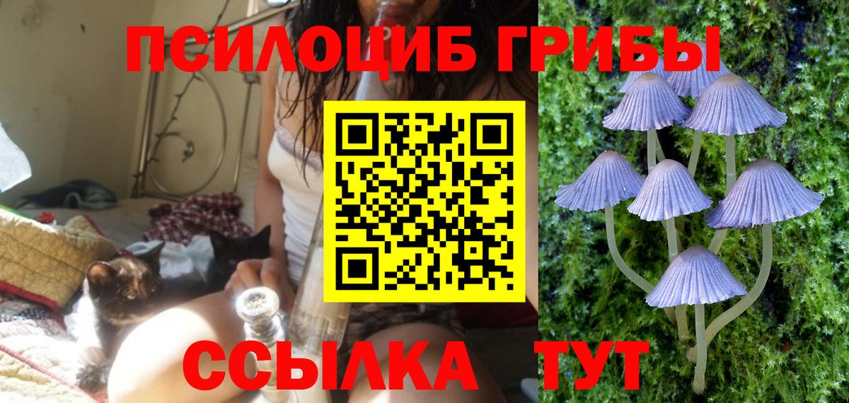 Галлюциногенные грибы мухоморы Кольчугино